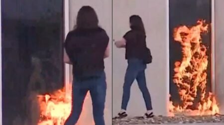 Missouri Woman Accused of Trying To Burn Down Site Once Considered for ICE Facility: ‘You Can’t Fix This Level of Stupidity’ Missouri Woman Accused Of Attempting To Set Site On Fire